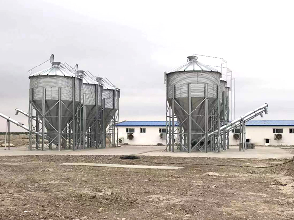 Hunan Changde 4800 sheep farming factory project