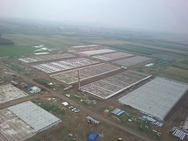 Hubei 9,000 layer breeding plant + 120,000 broiler breeding factory project