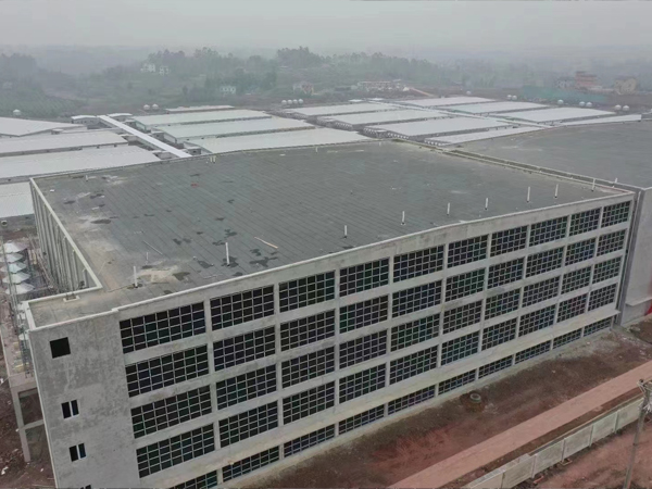 Beijing 6,000 sows + 50,000 pigs fattening plant project