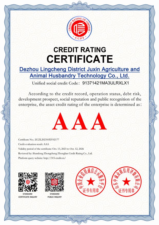 CREDIT RATING CERTIFICATE