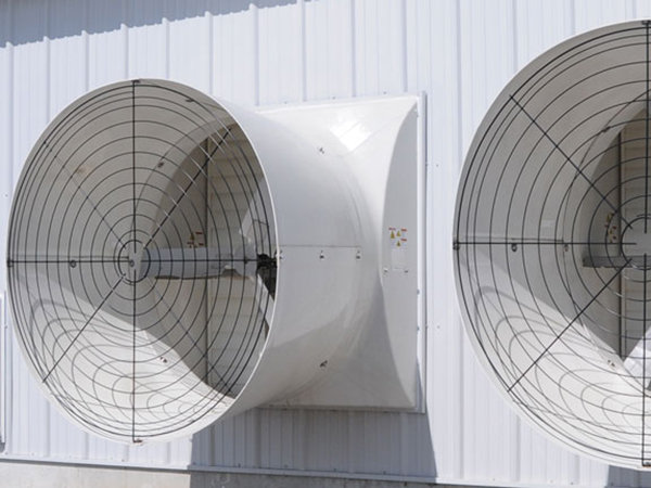 fiberglass-fans-promo