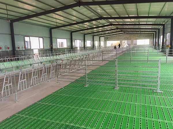 Broiler floor rearing